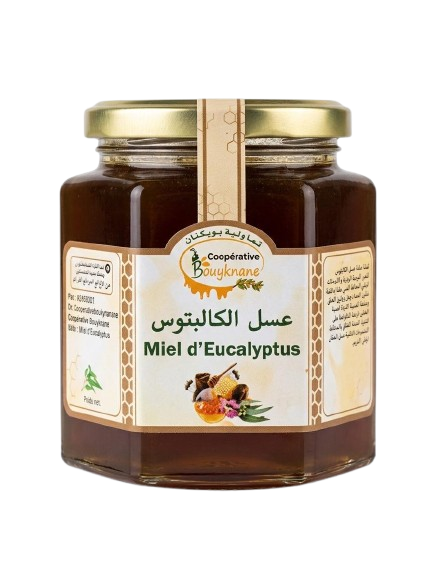 Miel d’eucalyptus